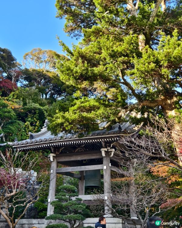 鐮倉長谷寺，放滿可愛地藏菩薩