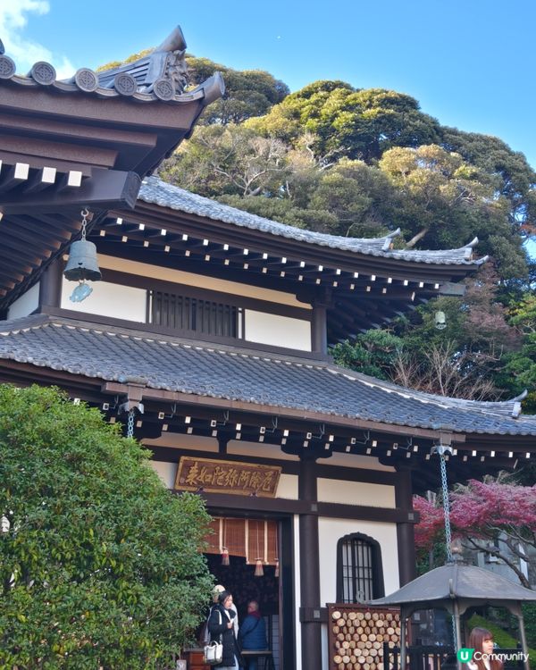 鐮倉長谷寺，放滿可愛地藏菩薩