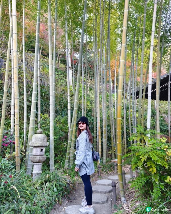 鐮倉長谷寺，放滿可愛地藏菩薩