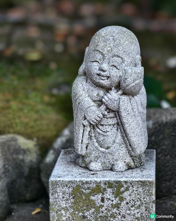 鐮倉長谷寺，放滿可愛地藏菩薩