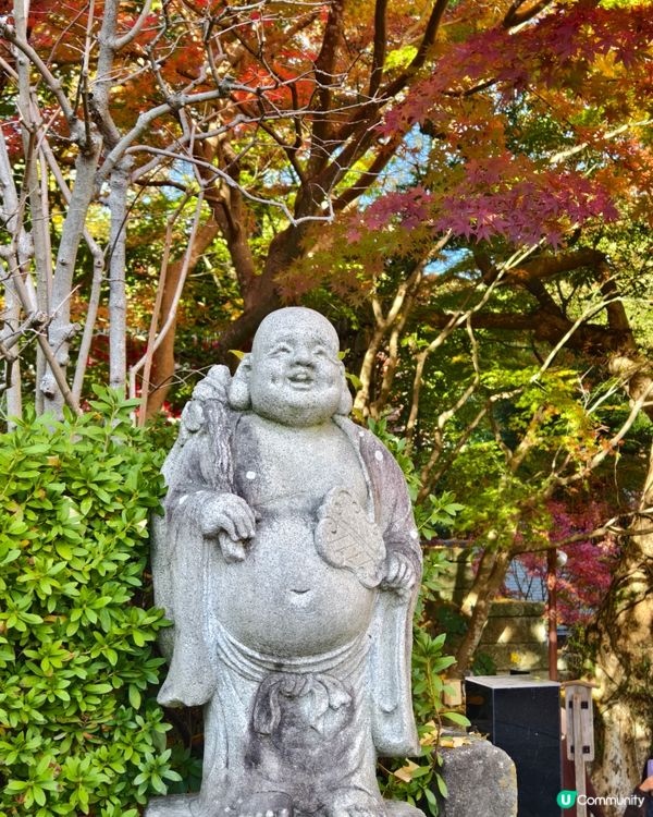 鐮倉長谷寺，放滿可愛地藏菩薩