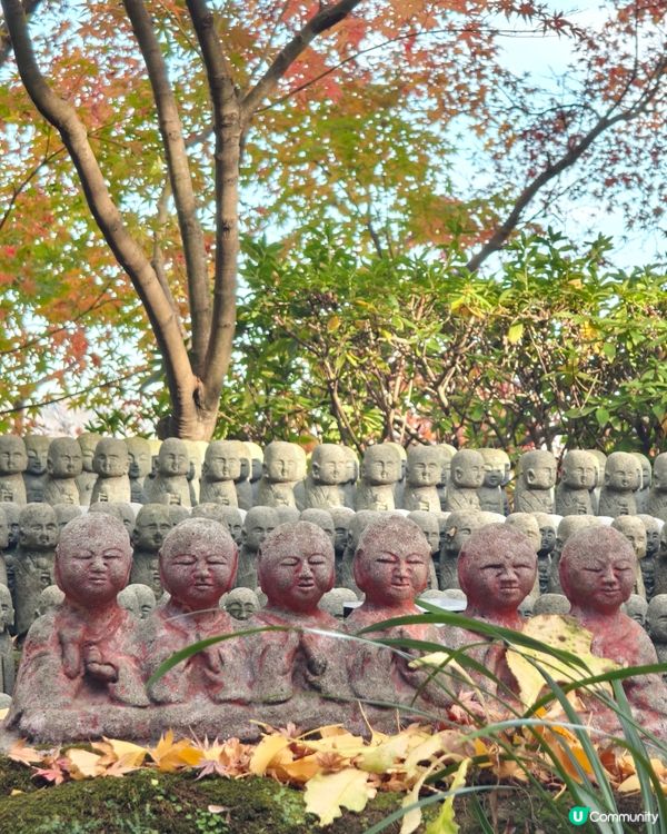 鐮倉長谷寺，放滿可愛地藏菩薩