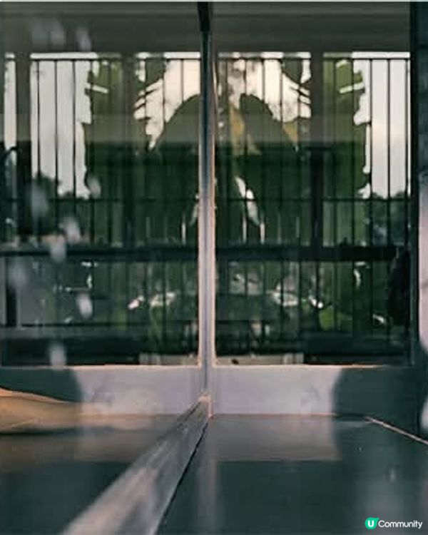 *父愛與痛苦*從愛到絕望：精神病患的「罪」與「罰」