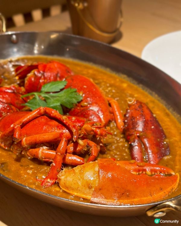 中環超打卡寶藍餐廳💙7道菜Tasting Menu🤩