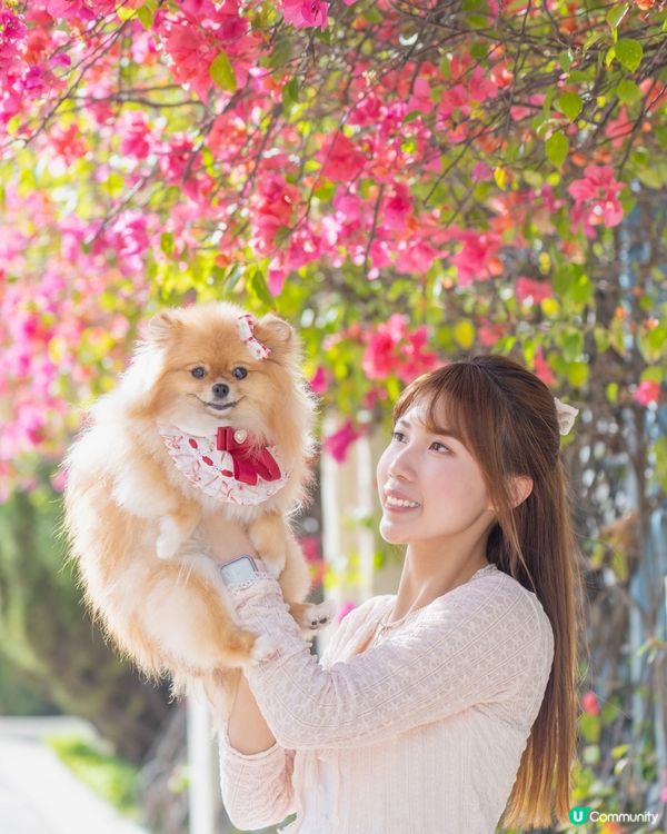 爸爸話3月係花季🌸  帶我米蘇蘇去影花花📸