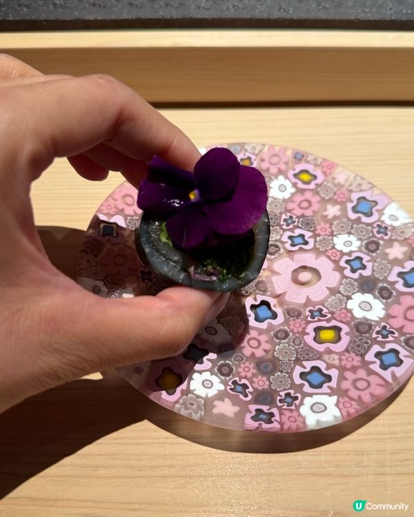 尖沙咀宇田津鮨🍣  日式風情，隱世日式美食天花板