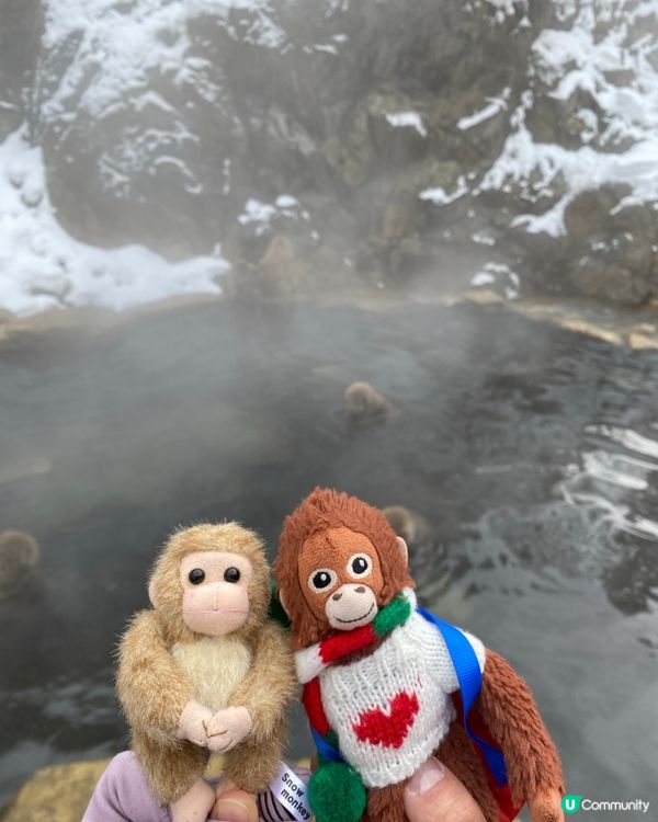 日本長野雪猴山❄️🐒 必買磁石雪猴公仔🐵✨