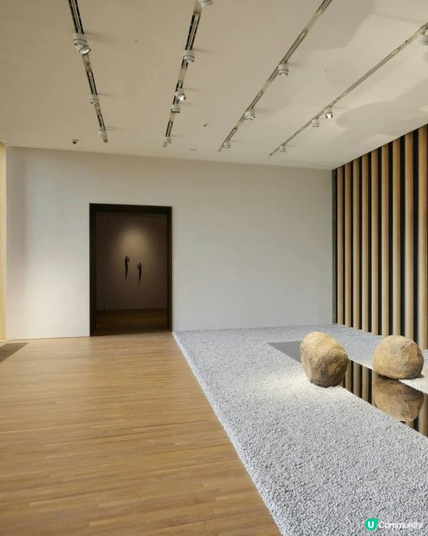 免費入場！藝術三月M+博物館免費睇展覽啦！🥳