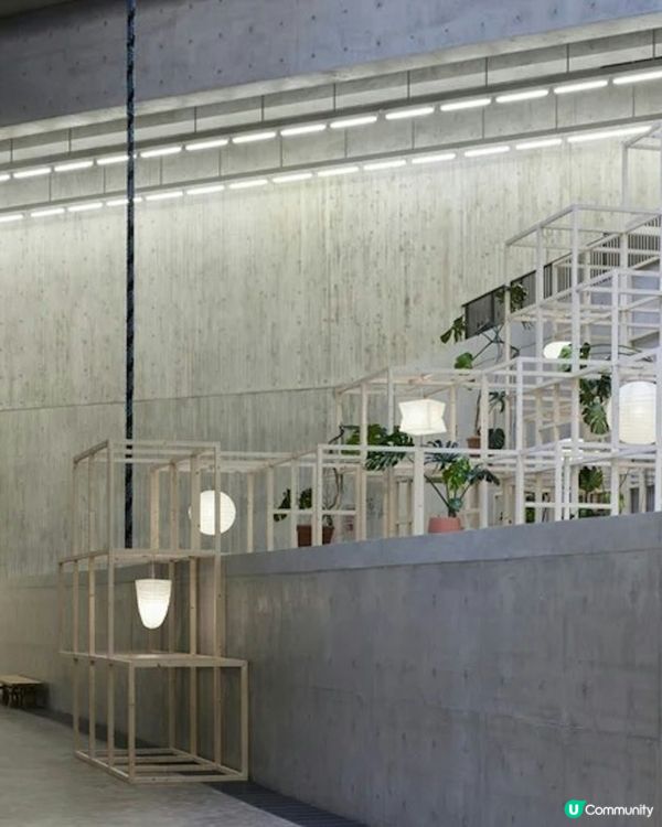 免費入場！藝術三月M+博物館免費睇展覽啦！🥳