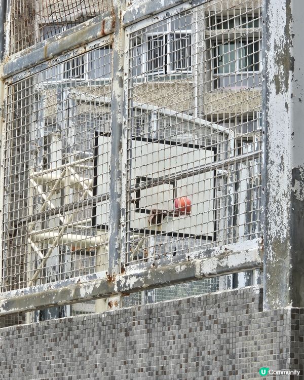 香港屋邨遊 - 廣源邨