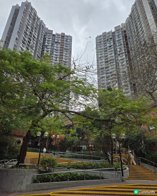 香港屋邨遊 - 廣源邨