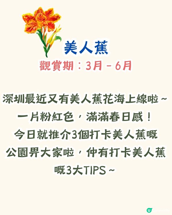 深圳打卡美人蕉公園3大推介📸地鐵直達🚇附3大打卡TIPS‼️