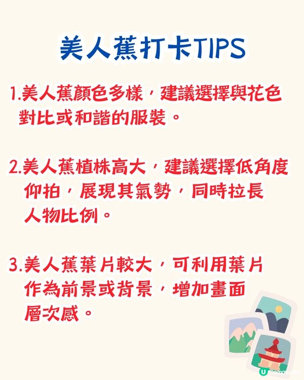 深圳打卡美人蕉公園3大推介📸地鐵直達🚇附3大打卡TIPS‼️