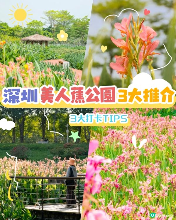 深圳打卡美人蕉公園3大推介📸地鐵直達🚇附3大打卡TIPS‼️
