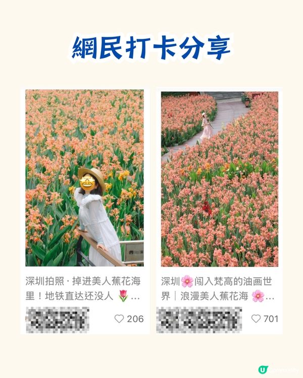 深圳打卡美人蕉公園3大推介📸地鐵直達🚇附3大打卡TIPS‼️