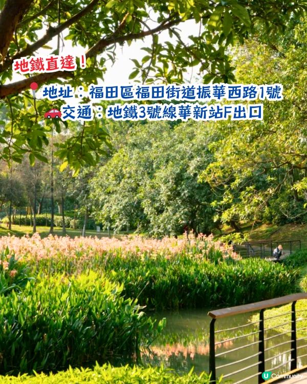 深圳打卡美人蕉公園3大推介📸地鐵直達🚇附3大打卡TIPS‼️