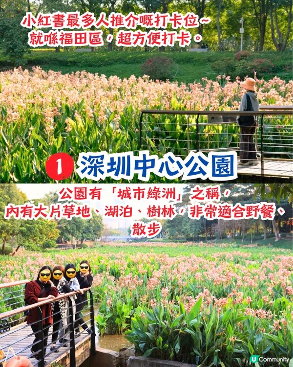 深圳打卡美人蕉公園3大推介📸地鐵直達🚇附3大打卡TIPS‼️