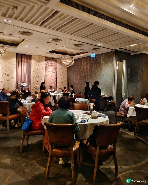 《香港50+老酒家有質素午餐》