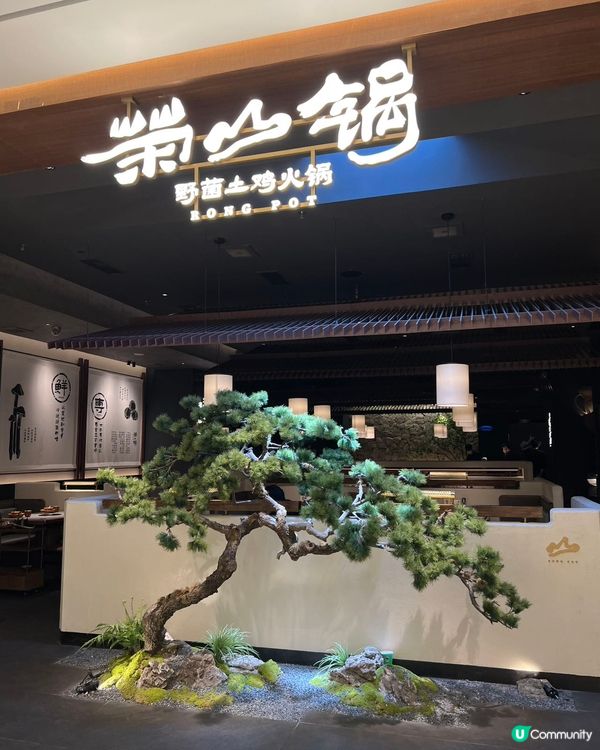 ## 野菌土雞火鍋🍲  凍冰冰天氣打邊爐最正！