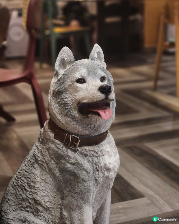 銅鑼灣隱世玩味CAFE！打卡+寵物友善+創意fusion菜