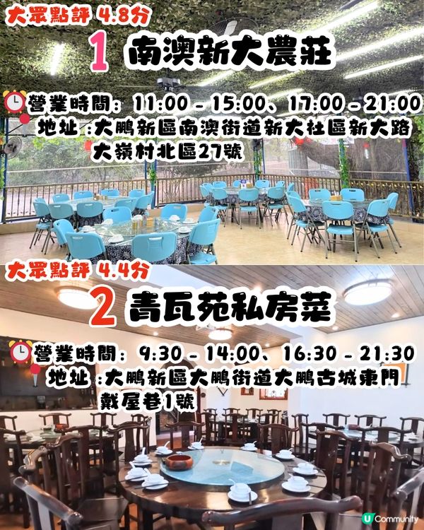 深圳地膽推介😋大鵬新區餐廳TOP10‼️超多明星幫襯/生猛海鮮/正宗客家菜/靚景海邊餐廳😍