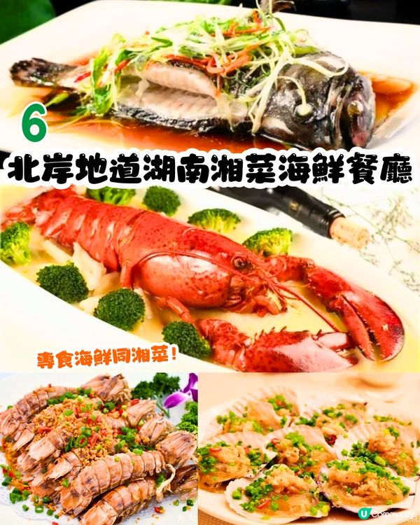 深圳地膽推介😋大鵬新區餐廳TOP10‼️超多明星幫襯/生猛海鮮/正宗客家菜/靚景海邊餐廳😍