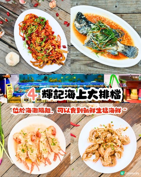 深圳地膽推介😋大鵬新區餐廳TOP10‼️超多明星幫襯/生猛海鮮/正宗客家菜/靚景海邊餐廳😍