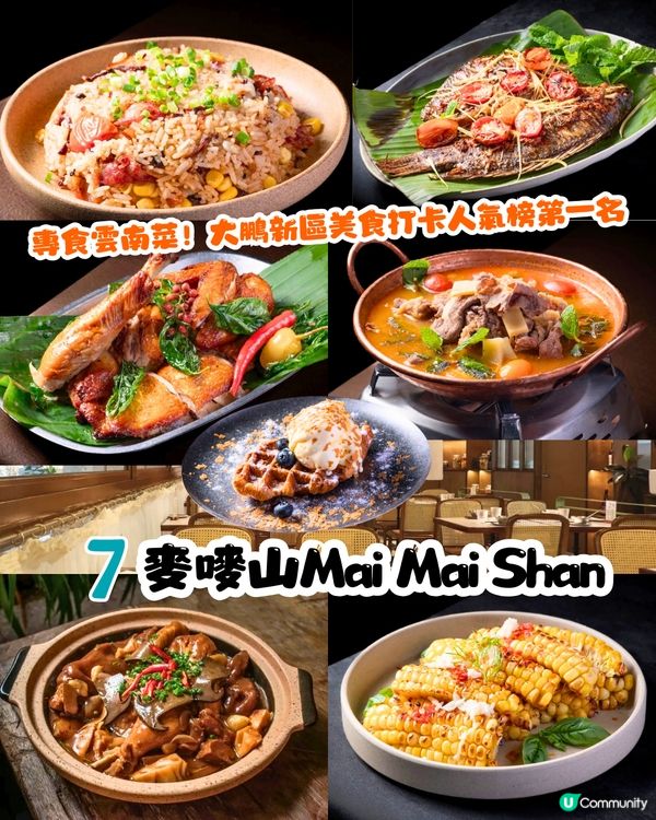 深圳地膽推介😋大鵬新區餐廳TOP10‼️超多明星幫襯/生猛海鮮/正宗客家菜/靚景海邊餐廳😍