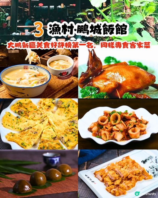 深圳地膽推介😋大鵬新區餐廳TOP10‼️超多明星幫襯/生猛海鮮/正宗客家菜/靚景海邊餐廳😍