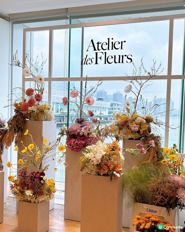 🎏海港城免費領Chloé香水試用裝🌸