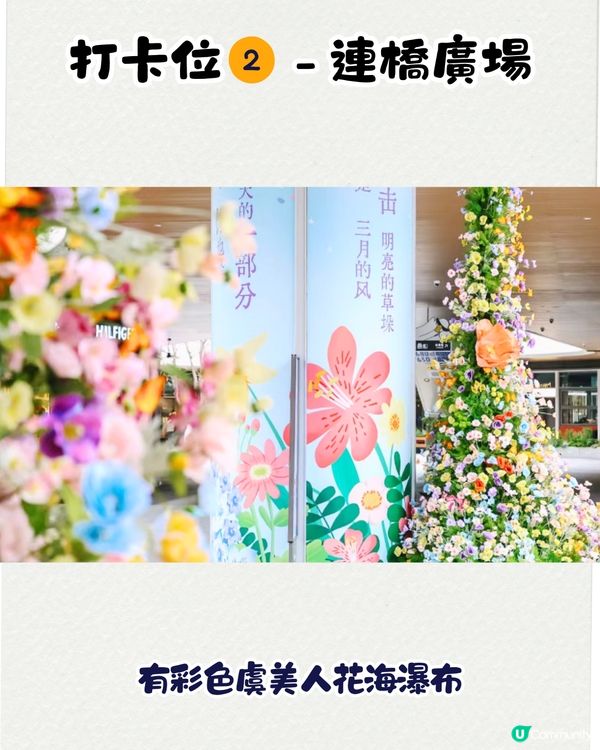 深圳大運天地賞花秘點😍有齊6個必影打卡位‼️ 3大絕美花海/ 湖邊花圈裝置/8米高藍花楹鞦韆