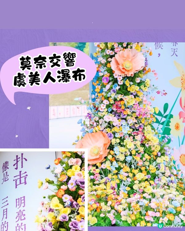 深圳大運天地賞花秘點😍有齊6個必影打卡位‼️ 3大絕美花海/ 湖邊花圈裝置/8米高藍花楹鞦韆