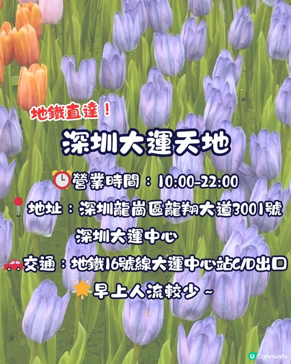 深圳大運天地賞花秘點😍有齊6個必影打卡位‼️ 3大絕美花海/ 湖邊花圈裝置/8米高藍花楹鞦韆