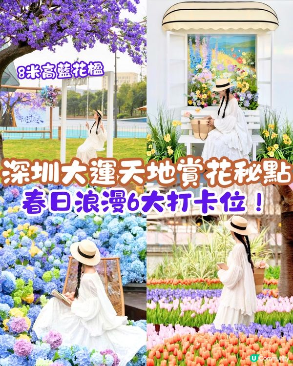 深圳大運天地賞花秘點😍有齊6個必影打卡位‼️ 3大絕美花海/ 湖邊花圈裝置/8米高藍花楹鞦韆