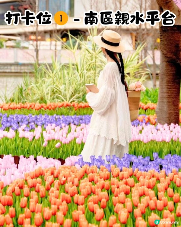 深圳大運天地賞花秘點😍有齊6個必影打卡位‼️ 3大絕美花海/ 湖邊花圈裝置/8米高藍花楹鞦韆