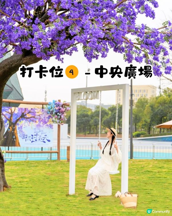 深圳大運天地賞花秘點😍有齊6個必影打卡位‼️ 3大絕美花海/ 湖邊花圈裝置/8米高藍花楹鞦韆