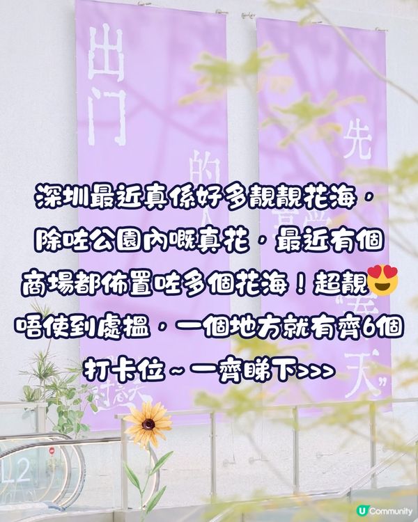 深圳大運天地賞花秘點😍有齊6個必影打卡位‼️ 3大絕美花海/ 湖邊花圈裝置/8米高藍花楹鞦韆