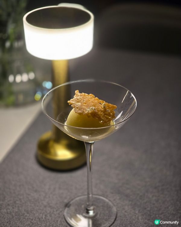 ✨【峴港法式料理盛宴】Le Comptoir七道菜感官之旅✨