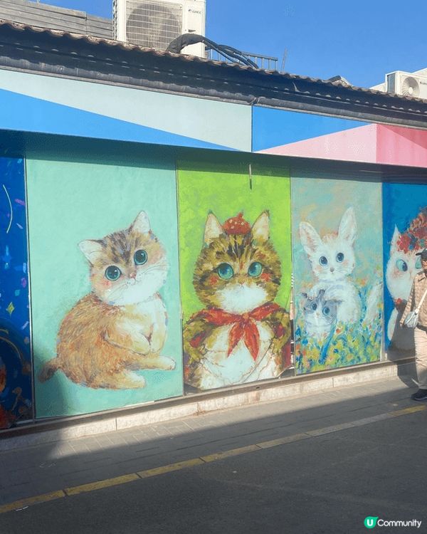 過年去了北京北新街，那裡有很多不同設計風格的小店和美食，非常...