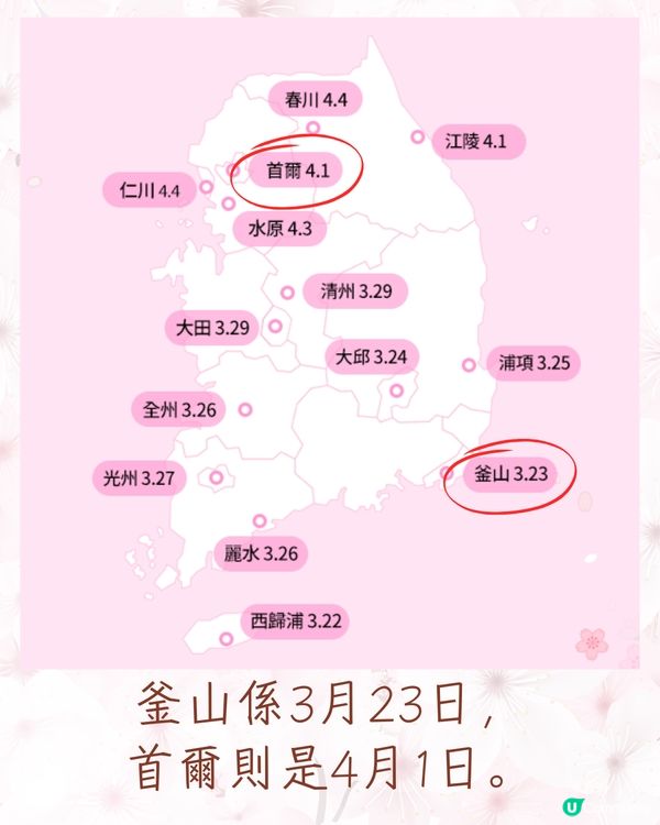 2025韓國櫻花預測出爐🔥附首爾5大人氣賞櫻地🌸汝矣島櫻花節/石村湖/首爾林