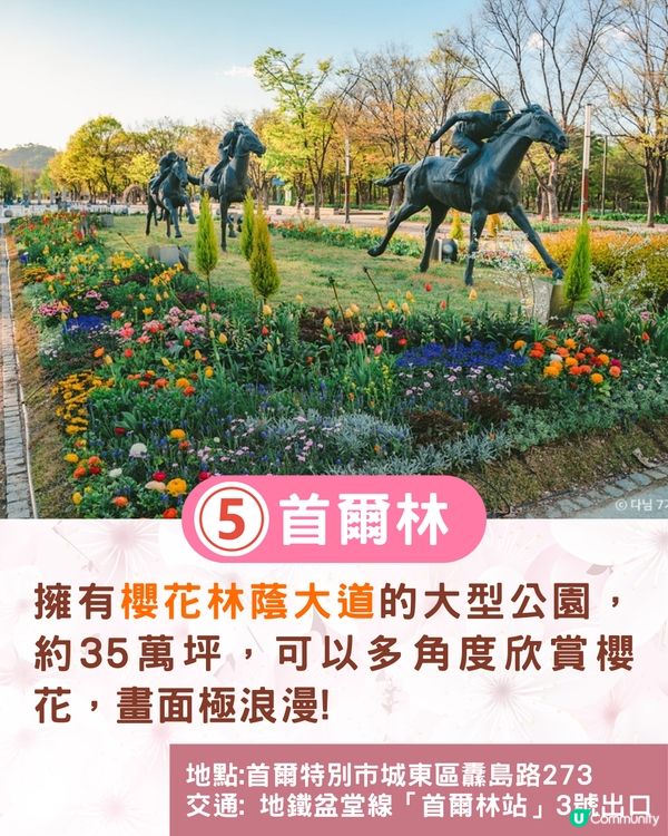 2025韓國櫻花預測出爐🔥附首爾5大人氣賞櫻地🌸汝矣島櫻花節/石村湖/首爾林