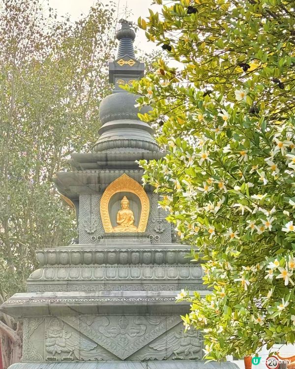 靜心#MOMENTSwithUCreator