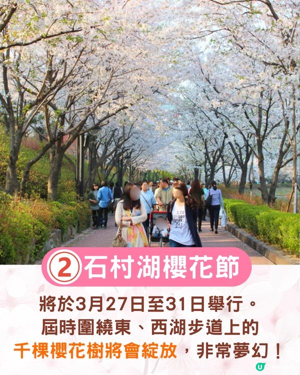 2025韓國櫻花預測出爐🔥附首爾5大人氣賞櫻地🌸汝矣島櫻花節/石村湖/首爾林