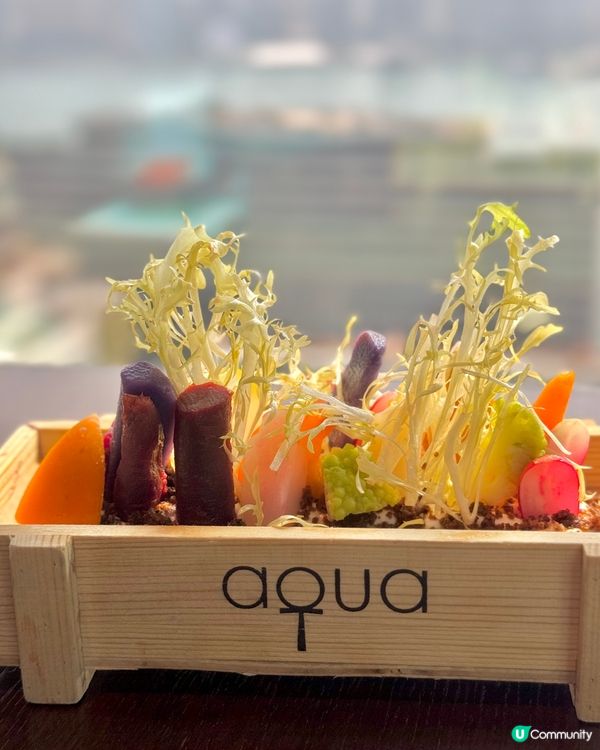 Aqua🔹尖沙咀西日高級餐廳 180度維港海景🥰