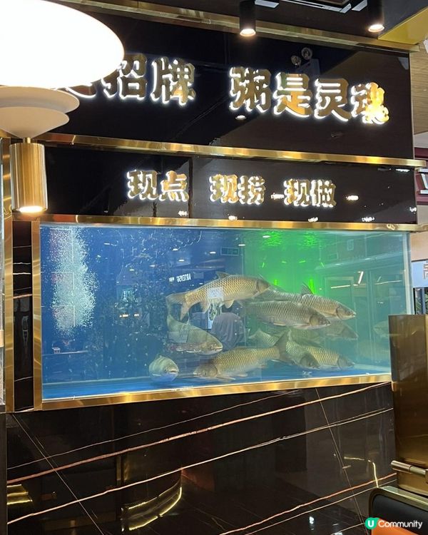 深圳都食到中山脆肉鲩啦！