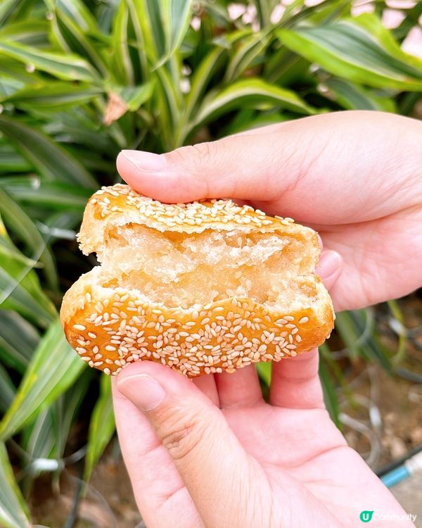 🎏3.8奇華餅家指定分店❤️心形老婆餅買一送一