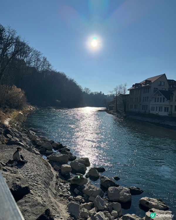 熊公園 Bear Park | Bern