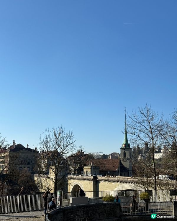 熊公園 Bear Park | Bern