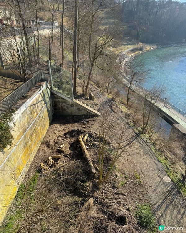 熊公園 Bear Park | Bern