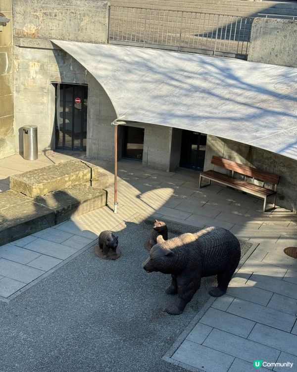 熊公園 Bear Park | Bern